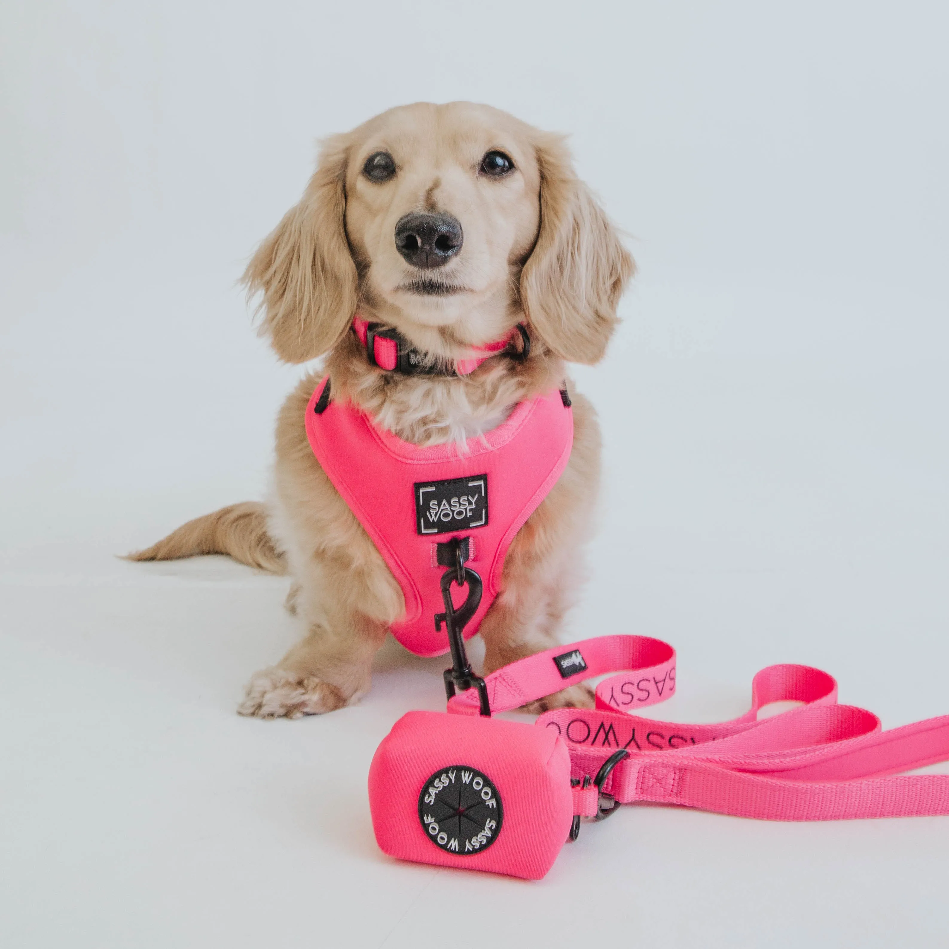 Dog Leash - Neon Pink