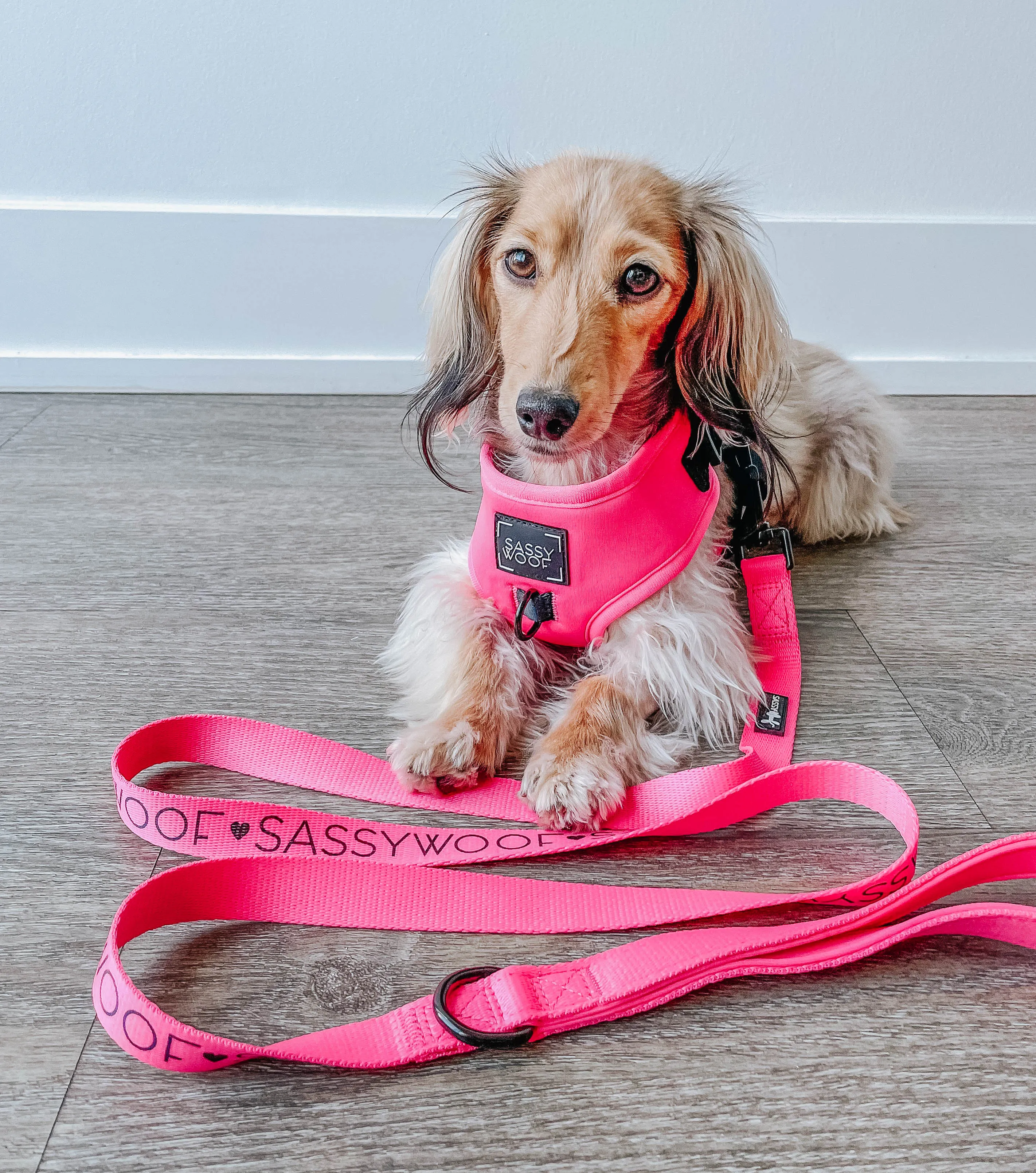 Dog Leash - Neon Pink