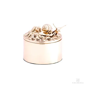 REM BOX<br><br>L’ ESCARGOT DROITE ON TOP<br><br>POLISHED BRONZE